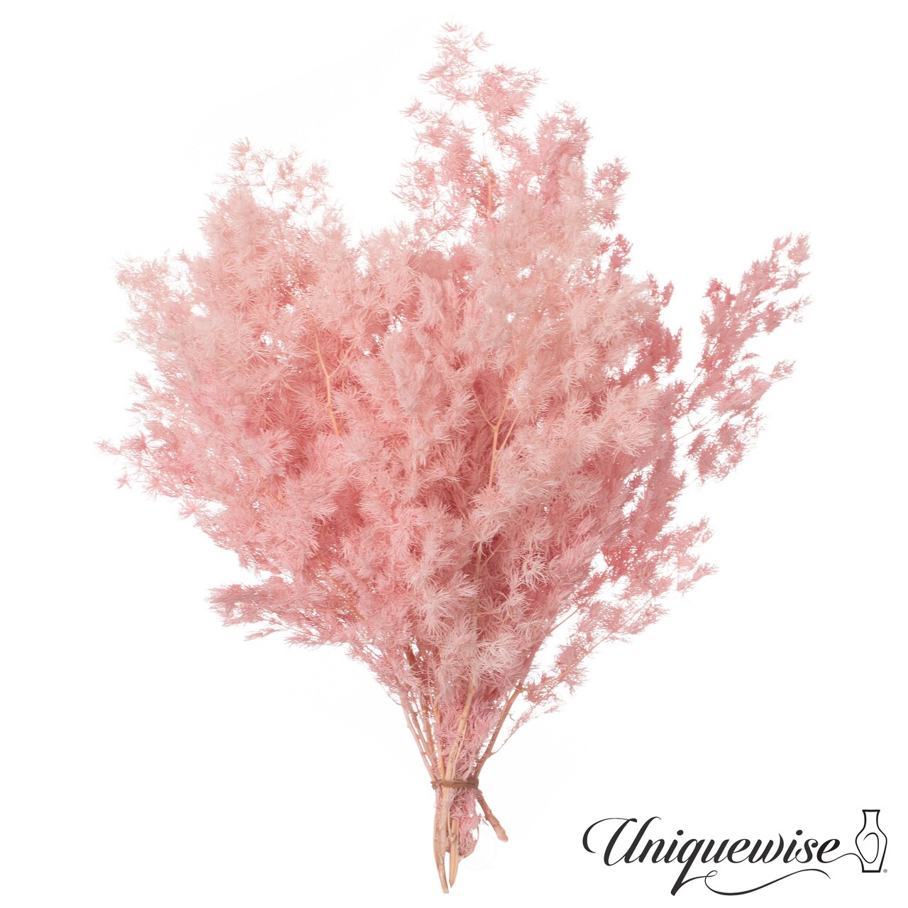 Uniquewise Preserved Real Floral Stems Chic Vase Fillers & Accents for Bouquets Centerpieces & Ornamental Displays Ideal for Home Office Boutique Cafe Resto Bar and Event Decor